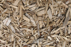 biomass boilers Elphin